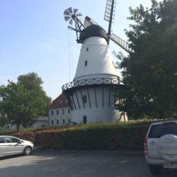 IMG_8535.jpg