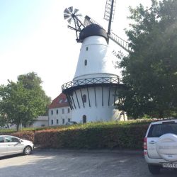 IMG_8534.jpg